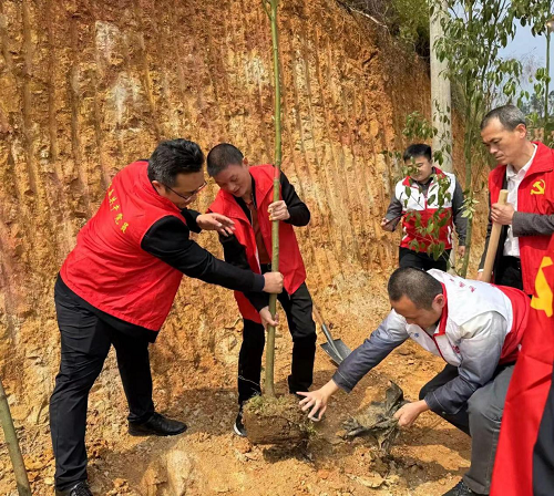 451b3cc8b60ef8ff2db7ec8c65e09c86.png 馬鞍山植樹.png